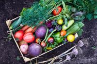 atelier_cuisine