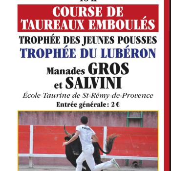 course_taureaux_31mai