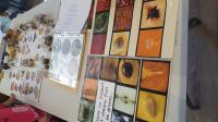 stand_alimentation